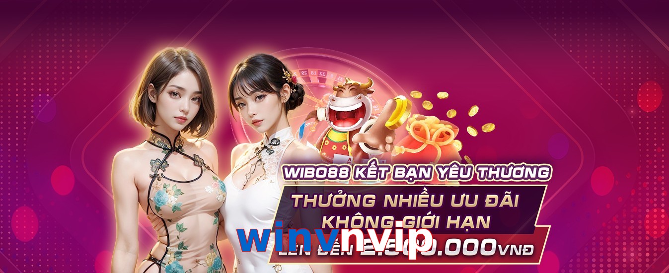 winvnvip