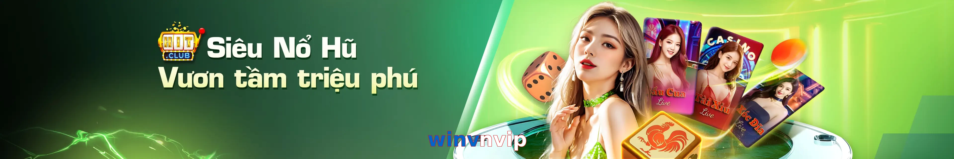 winvnvip