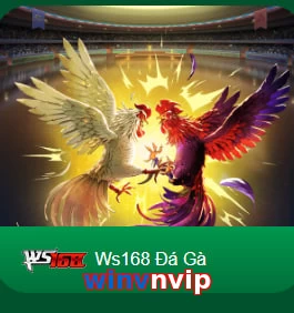 winvnvip