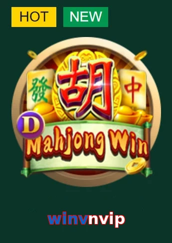 winvnvip