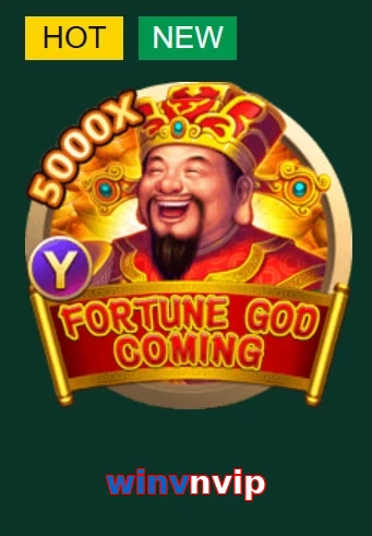 winvnvip