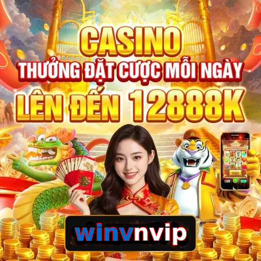 winvnvip